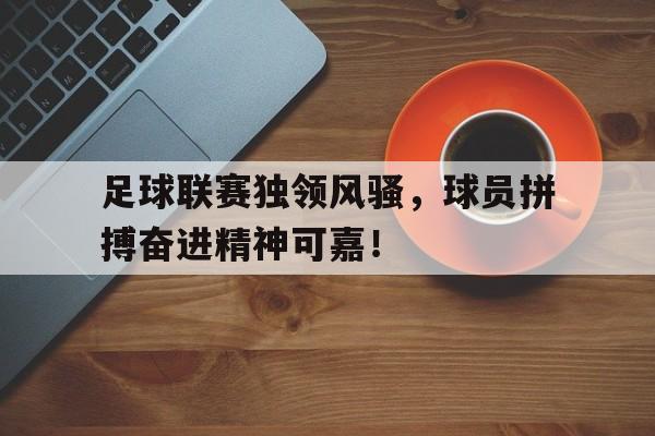 关于足球联赛独领风骚，球员拼搏奋进精神可嘉！的信息